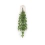 Hop hanging bush green 75cm