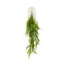 Nephrolepis fern hanging bush green 85cm