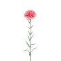 Dianthus spray pink 67cm