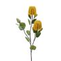 Banksia spray yellow 72cm