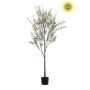 Olive tree UV 175cm (knock down packing)