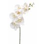 Phalaenopsis spray RT white 83cm