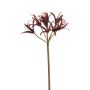 Nerine spray burgundy 95cm
