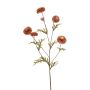 Tagetes spray coral 68cm