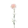 Dianthus spray peach 67cm