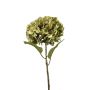 Hydrangea spray green/gold 55cm