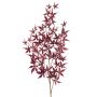 Japanese maple spray burgundy 110cm