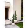 Boxwood spiral UV 150cm