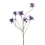 Aquilegia spray purple 80cm
