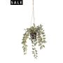 Tradescantia hanging in pot 80cm