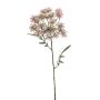 Dill spray pink 76cm