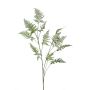 Asparagus spray green 135cm