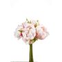 Peony bundle lt pink 24cm