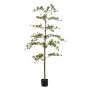 Bucida tree 175cm (knock down packing)