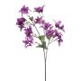 Bougainvillea spray purple 68cm