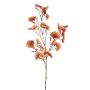 Ginkgo spray coral 105cm
