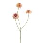 Dahlia pompon mini spray x3 peach 68cm