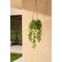 Ivy hanging bush UV 75cm