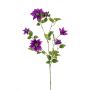 Clematis spray purple 110cm