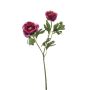 Ranunculus spray purple 46cm