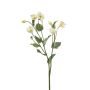 Helleborus spray white 52cm