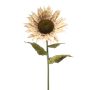 Sunflower stem XL beige 90cm (knock down packing)