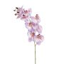 Phalaenopsis spray purple 95cm