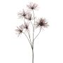 Anemone seed spray burgundy 110cm