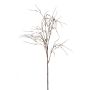 Stipa spray brown 80cm