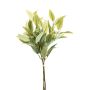 Eucalyptus bundle green 50cm