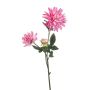 Dahlia spider spray pink 75cm