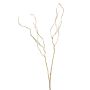 Salix spray gold 90cm
