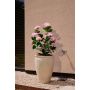 Hydrangea pink UV in pot 90cm