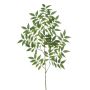 Ruscus spray green 95cm