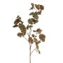 Saxifraga spray brown 112cm