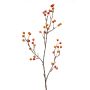 Berry spray orange 100cm