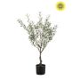 Olive tree UV 90cm