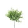 Rosemary bush lt green 22cm
