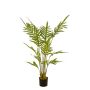 Fern plant 120cm