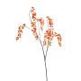 Lepidium spray orange 110cm