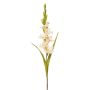 Gladiolus spray cream 93cm