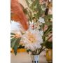 Pampas stem peach 115cm