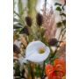 Calla lily stem white 70cm