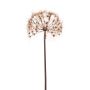 Dandelion spray brown 91cm