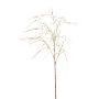 Stipa spray gold 75cm