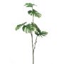 Monstera mini spray 72cm