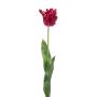 Tulip parrot spray beauty 68cm