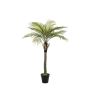 Phoenix palm deluxe 160cm (knock-down packing)