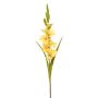 Gladiolus spray yellow 93cm