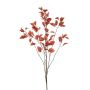 Fagus lvs spray coral 135cm